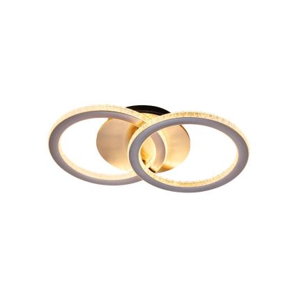 Searchlight - LED димируема таванна лампа SPECS LED/24W/230V 3000K 25x42,5 cm