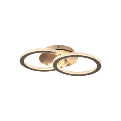 Searchlight - LED димируема таванна лампа SPECS LED/24W/230V 3000K 25x42,5 cm