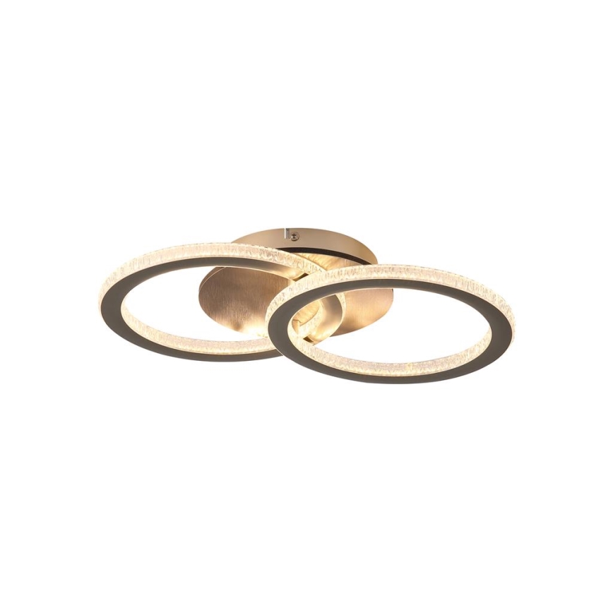 Searchlight - LED димируема таванна лампа SPECS LED/24W/230V 3000K 25x42,5 cm