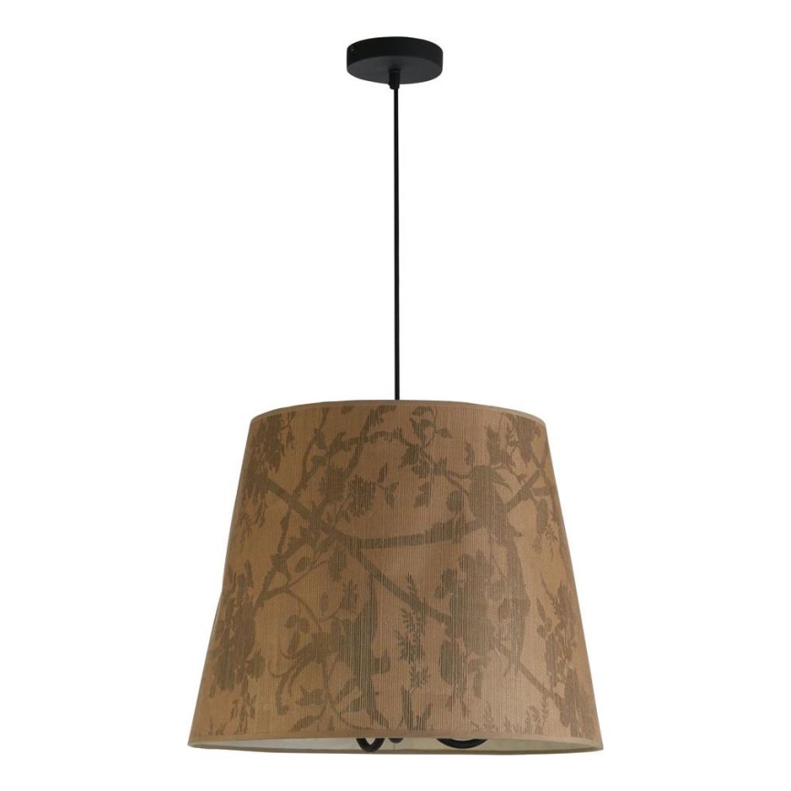 Searchlight - Полилей на кабел ISLA 3xE14/40W/230V