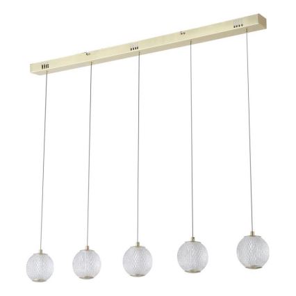 Searchlight - LED полилей на кабел ALLURE 5xLED/4,2W/230V