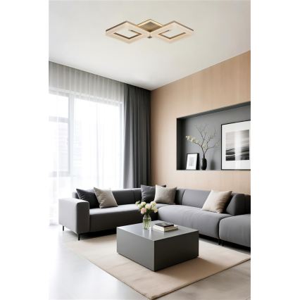 Searchlight - Димируемо LED таванно осветително тяло FENCE LED/25W/230V