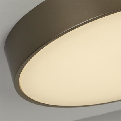 Searchlight - LED таванно осветително тяло PALMA LED/12W/230V 3000K Ø 25 см бронзов цвят