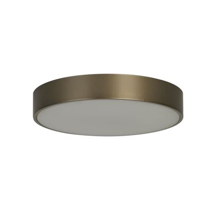 Searchlight - LED таванно осветително тяло PALMA LED/12W/230V 3000K Ø 25 см бронзов цвят