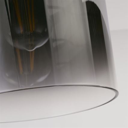 Searchlight - Таванно осветително тяло SWEDEN 1xE27/60W/230V Ø 22 см черно/димчато