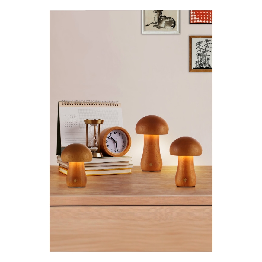 Searchlight - Комплект 3x LED настолни лампи MUSHROOM LED/1,1W/5V 800 mAh