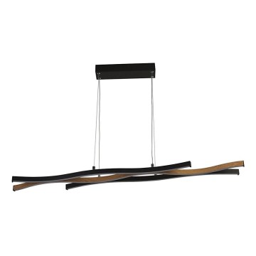 Searchlight - LED полилей на кабел BLOOM LED/38W/230V 2300/3000/4000K