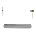 Searchlight - LED полилей на кабел CAPSULE LED/42,5W/230V