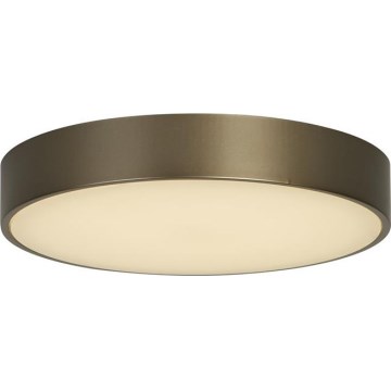 Searchlight - LED таванно осветително тяло PALMA LED/12W/230V 3000K Ø 25 см бронзов цвят