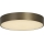 Searchlight - LED таванно осветително тяло PALMA LED/12W/230V 3000K Ø 25 см бронзов цвят