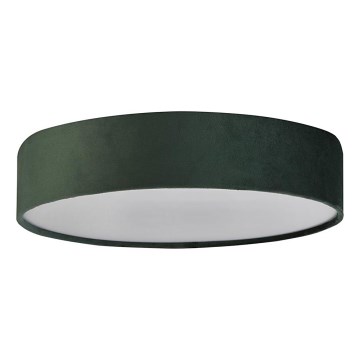 Searchlight - Таванно осветително тяло DRUM 3xE27/60W/230V зелено