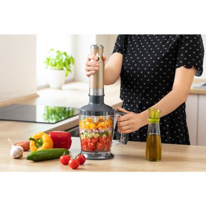 Sencor - Пасатор 4в1 1200W/230V неръждаема стомана/златист