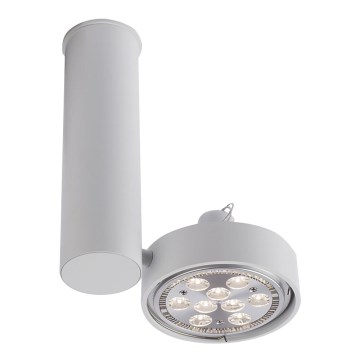Shilo - Спот 1xGU10/15W/230V бял