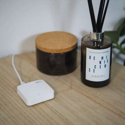 Смарт портал GoSmart ZigBee 3.0 5V Wi-Fi