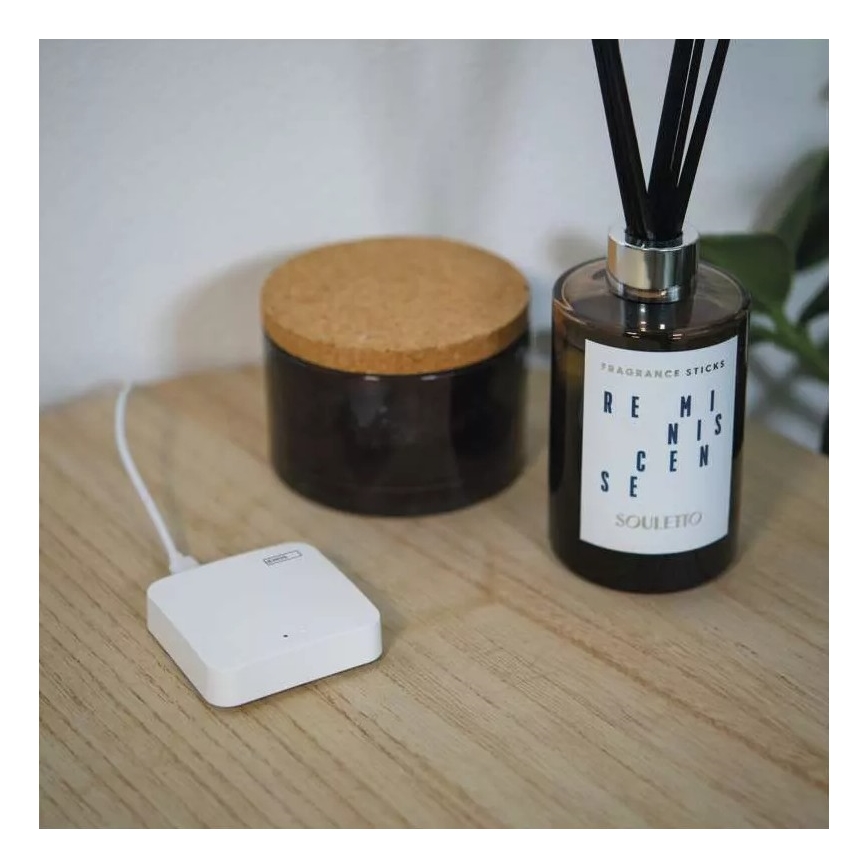 Смарт портал GoSmart ZigBee 3.0 5V Wi-Fi