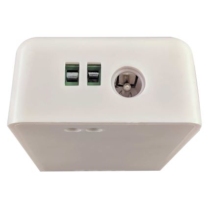 Смарт контролер за едноцветни LED ленти 5-24V Wi-Fi Tuya