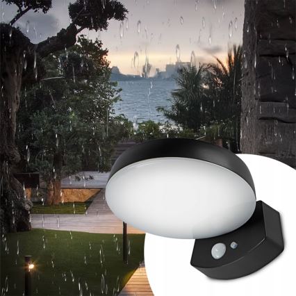 LED димируемо соларно стенно осветително тяло със сензор LED/3W/3,7V 1800 mAh IP54 черно