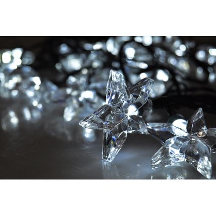 LED верига 20xLED 6m студено бяло