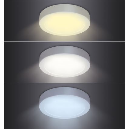 LED таванно осветително тяло LED/12W/230V 3000/4000/6000K Ø 17 см бяло
