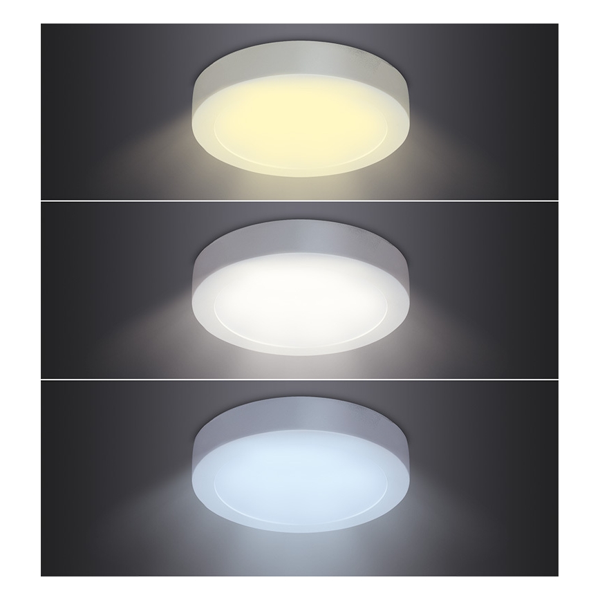 LED таванно осветително тяло LED/12W/230V 3000/4000/6000K Ø 17 см бяло