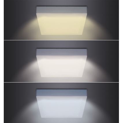 LED таванно осветително тяло LED/12W/230V 3000/4000/6000K 17x17 cm бяло