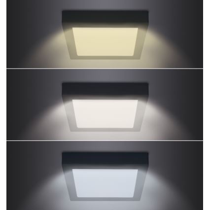 LED Плафониера LED/24W/230V 3000/4000/6000K черен ъглов