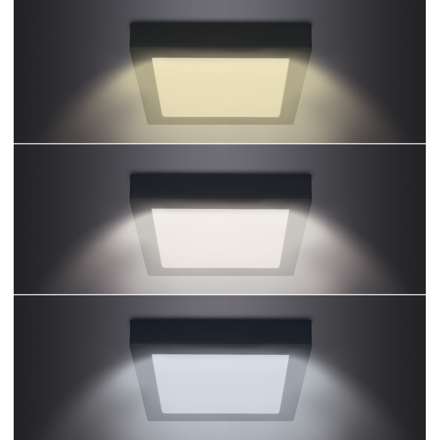 LED Плафониера LED/24W/230V 3000/4000/6000K черен ъглов
