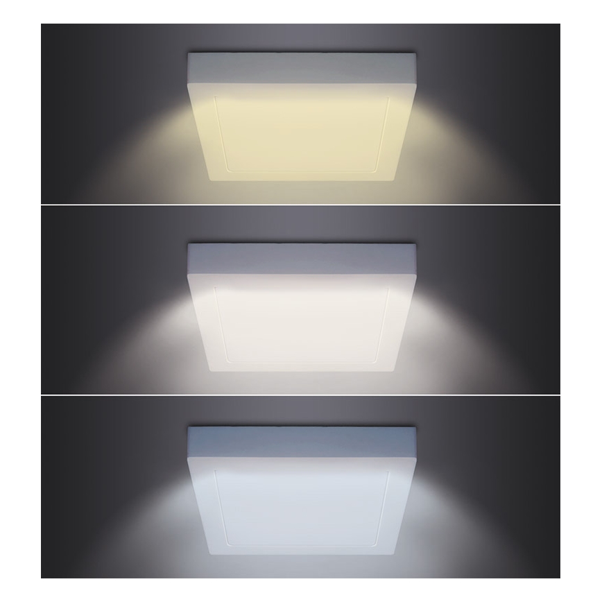 LED таванно осветително тяло LED/24W/230V 3000/4000/6000K 30x30 см бяло