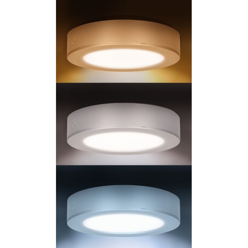 LED панел 2 в 1 за повърхностен/вграден монтаж LED/12W/230V 3000/4000/6000K Ø17 см IP54 сребрист