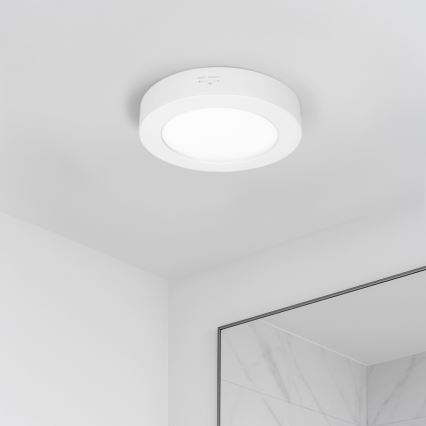LED панел за накладен/за окачен таван 2 в 1 LED/12W/230V 3000/4000/6000K диам. 17 см IP54 бял