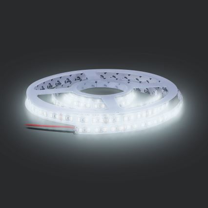 LED Лента LED/50W/12V 5м студено бяла