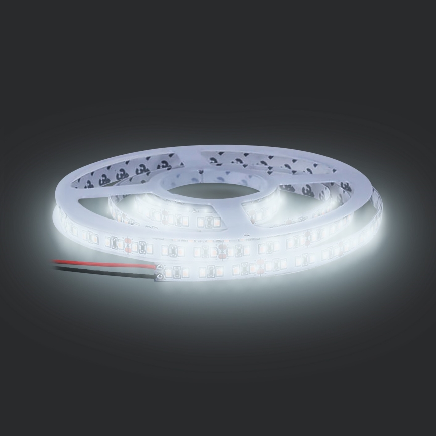 LED Лента LED/50W/12V 5м студено бяла
