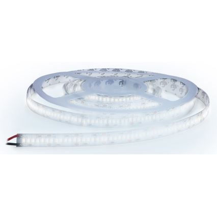 LED Лента LED/80W/12V 5м студено бяла