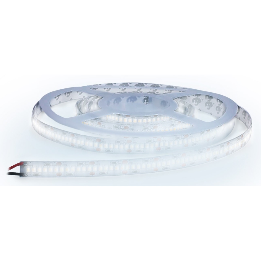 LED Лента LED/80W/12V 5м студено бяла