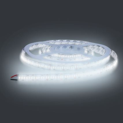 LED Лента LED/80W/12V 5м студено бяла