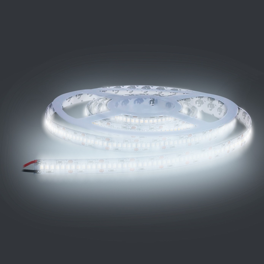 LED Лента LED/80W/12V 5м студено бяла
