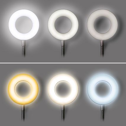 LED Димируема настолна лампа с щипка LED/8W/230V 3000/4000/5000K черен