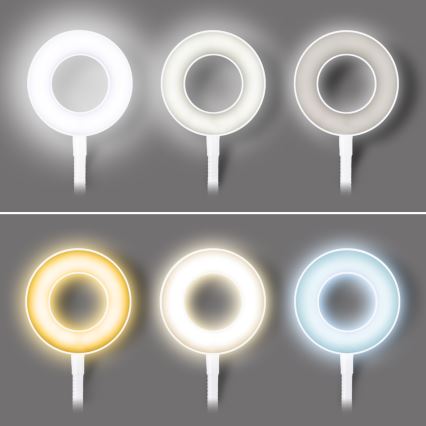 Димируема настолна LED лампа с щипка LED/8W/230V 3000/4000/5000K бяла