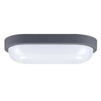 LED Екстериорен аплик LED/20W/230V 4000K IP54 сив овален