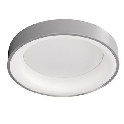 Solight WO768-G - LED таванна светлина TREVISO LED / 48W / 230V + ДУ