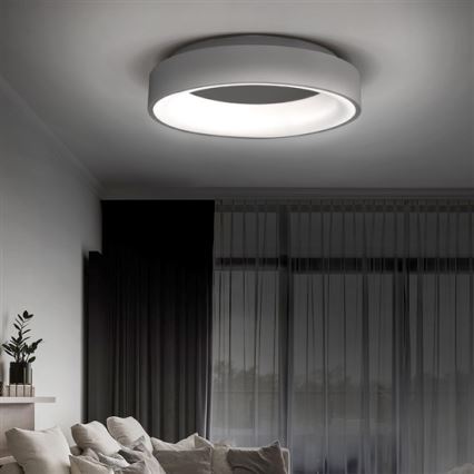 Solight WO768-G - LED таванна светлина TREVISO LED / 48W / 230V + ДУ