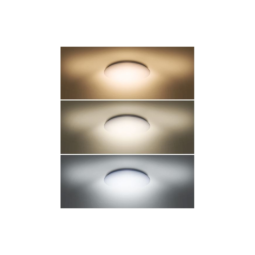 LED Лампа PLAIN LED/24W/230V 3000K/4000K/6000K кръгла