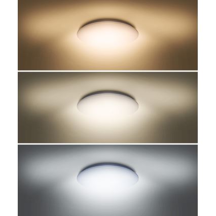 LED Плафон PLAIN LED/36W/230V 3000/4000/6000K кръгъл