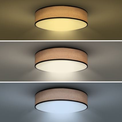 LED Димируем плафон BROWNIE LED/60W/230V 3000-6500K кафяв Ø 50 см + дистанционно управление