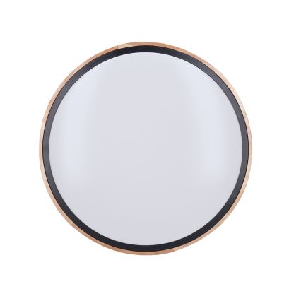 LED Димируем плафон IRON OAK LED/48W/230V 3000-6500K дъб Ø 40 см + дистанционно управление