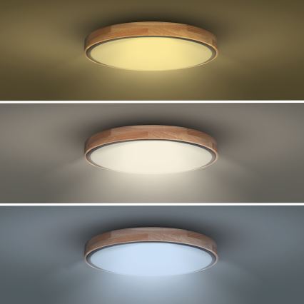 LED Димируем плафон IRON OAK LED/60W/230V 3000-6500K дъб Ø 51 см + дистанционно управление