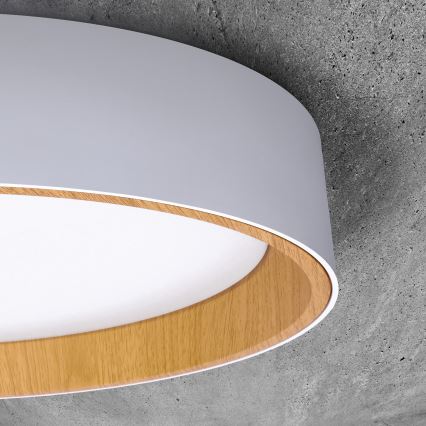 LED Димируем плафон LARIOS LED/48W/230V 3000-6500K Ø 39 см бял + дистанционно управление