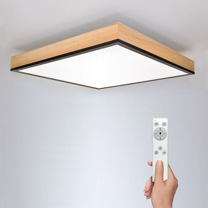 LED Димируем плафон LED/40W/230V 3000-6500K + дистанционно