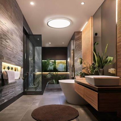 LED плафон за баня ACATE LED/24W/230V 3000/4000/6000K Ø 29,3 см IP54