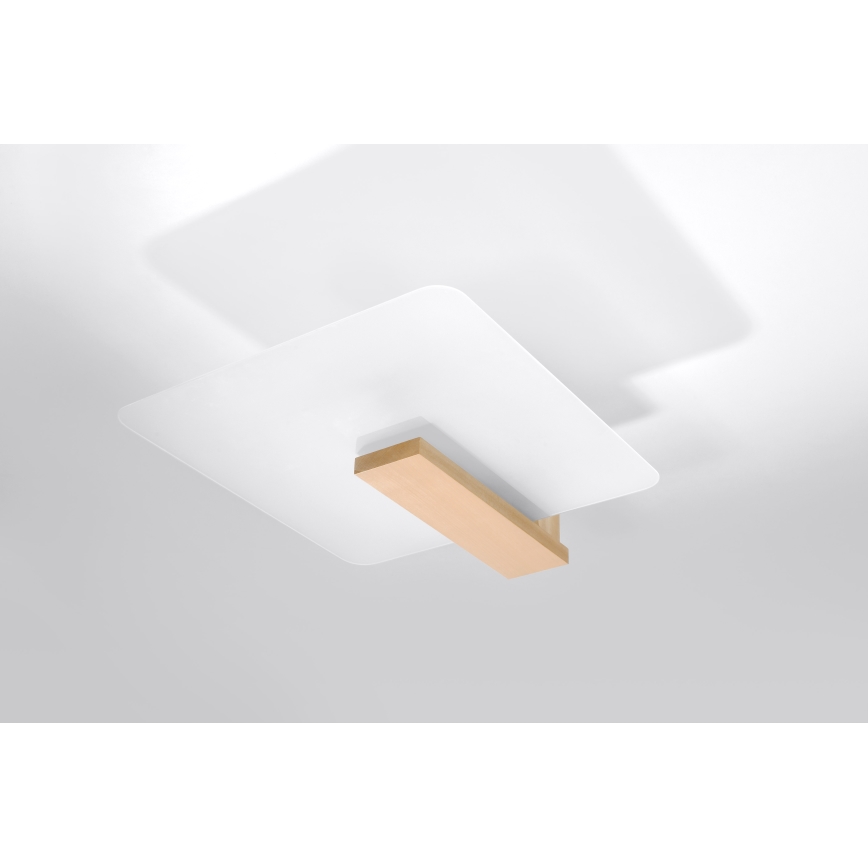 Плафон LAPPO 2xE27/15W/230V бежов